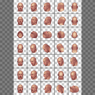 OC Head