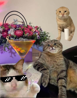 我是基米，我与世界为敌（I'm a cat. So what?）中文翻译