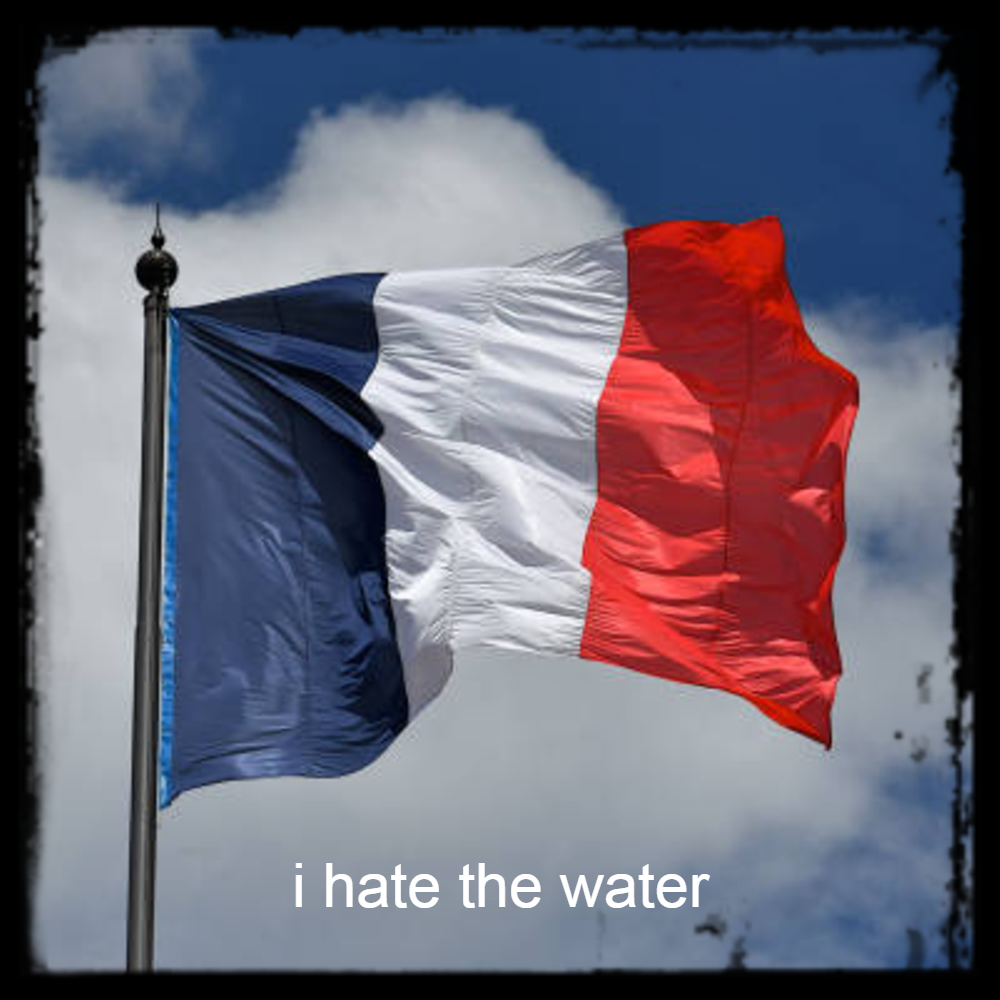 Francis replaces as france