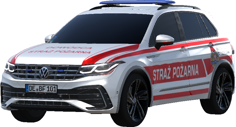 straż pożarna  dowódca
