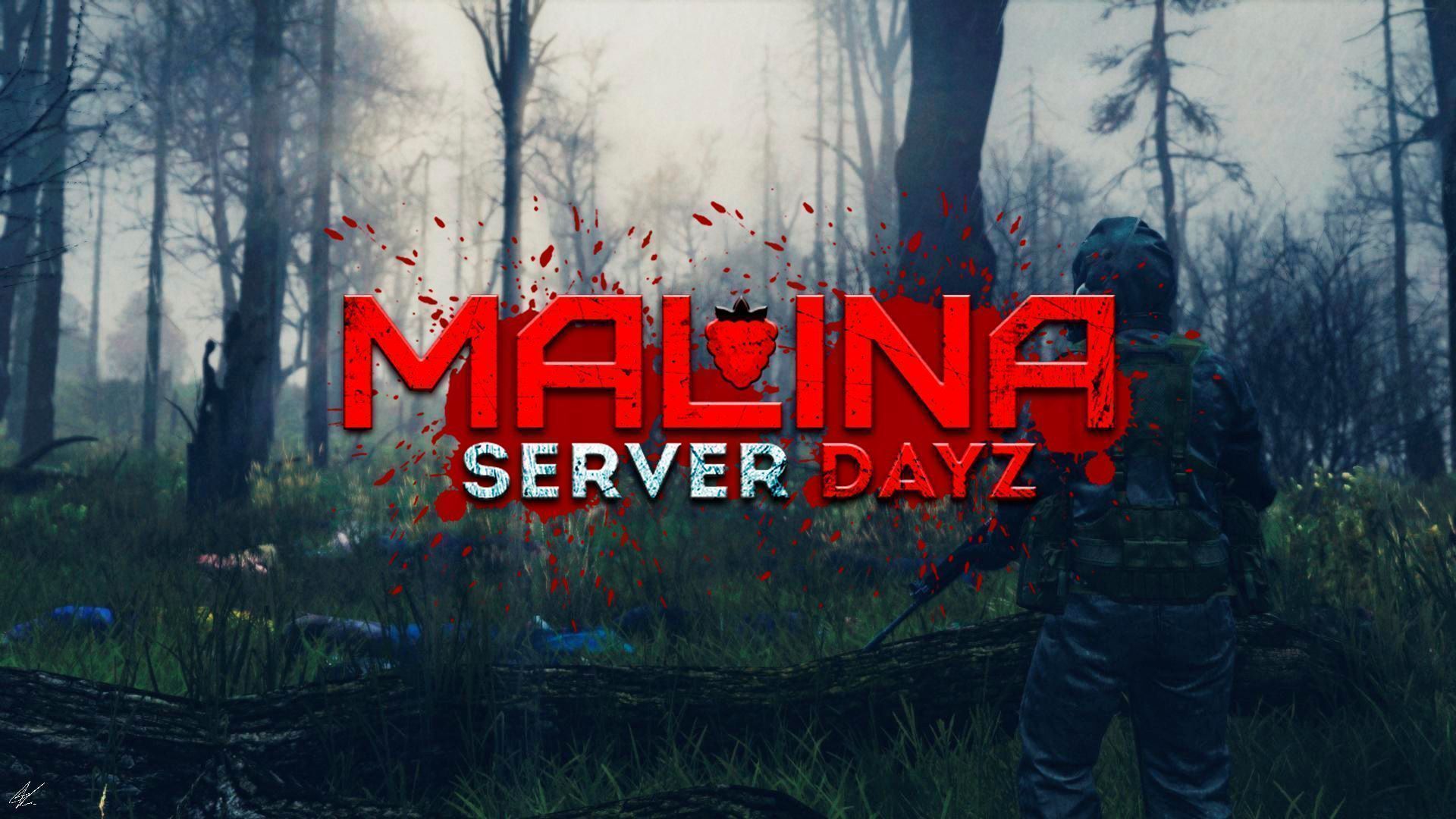 Malina Gaming Server Mod