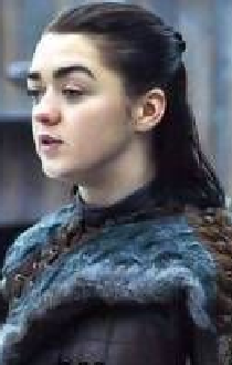 Arya Stark (1. Stufe Kämpfer)