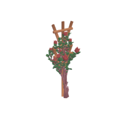 Rose bush 2/3 sprouted