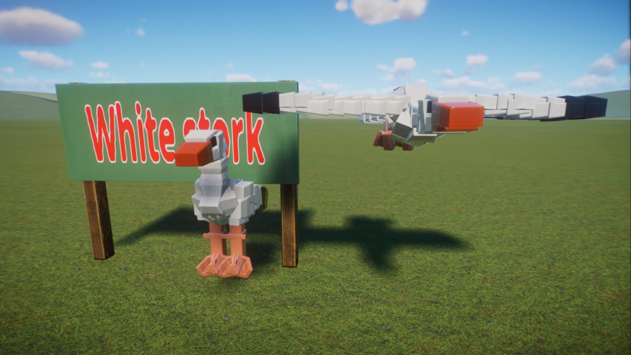 Dark's:White stork