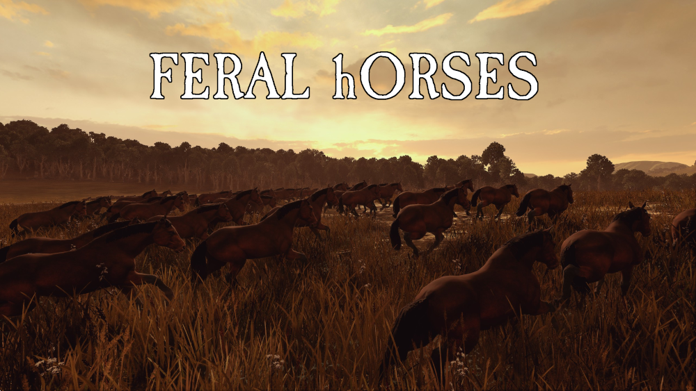 Feral Horses