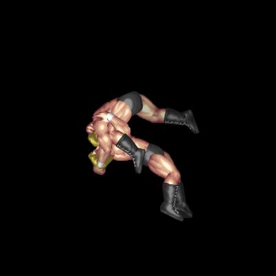 Capture Suplex B