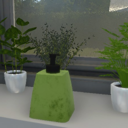 Green Shampoo Bottle