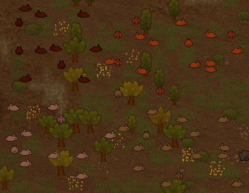 Hares of the Rim