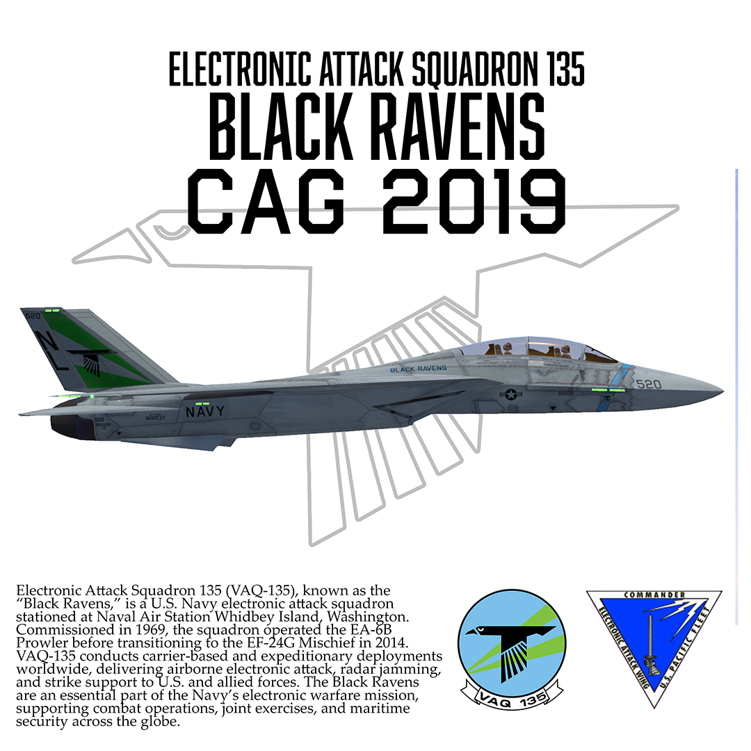 VAQ-135 'Black Ravens' CAG2019