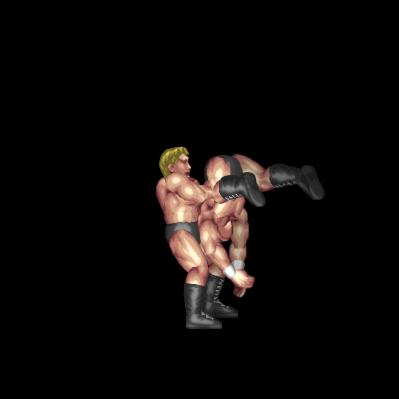 Sheer Drop Gutwrench Powerbomb