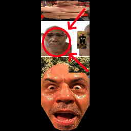 joe rogan experience