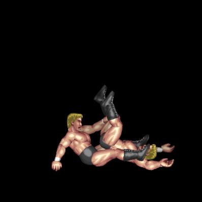 Liger Bomb B