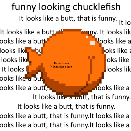 funny looking chucklefish