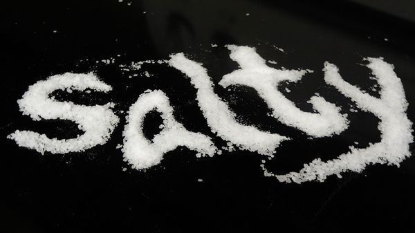 SaltySceneExp