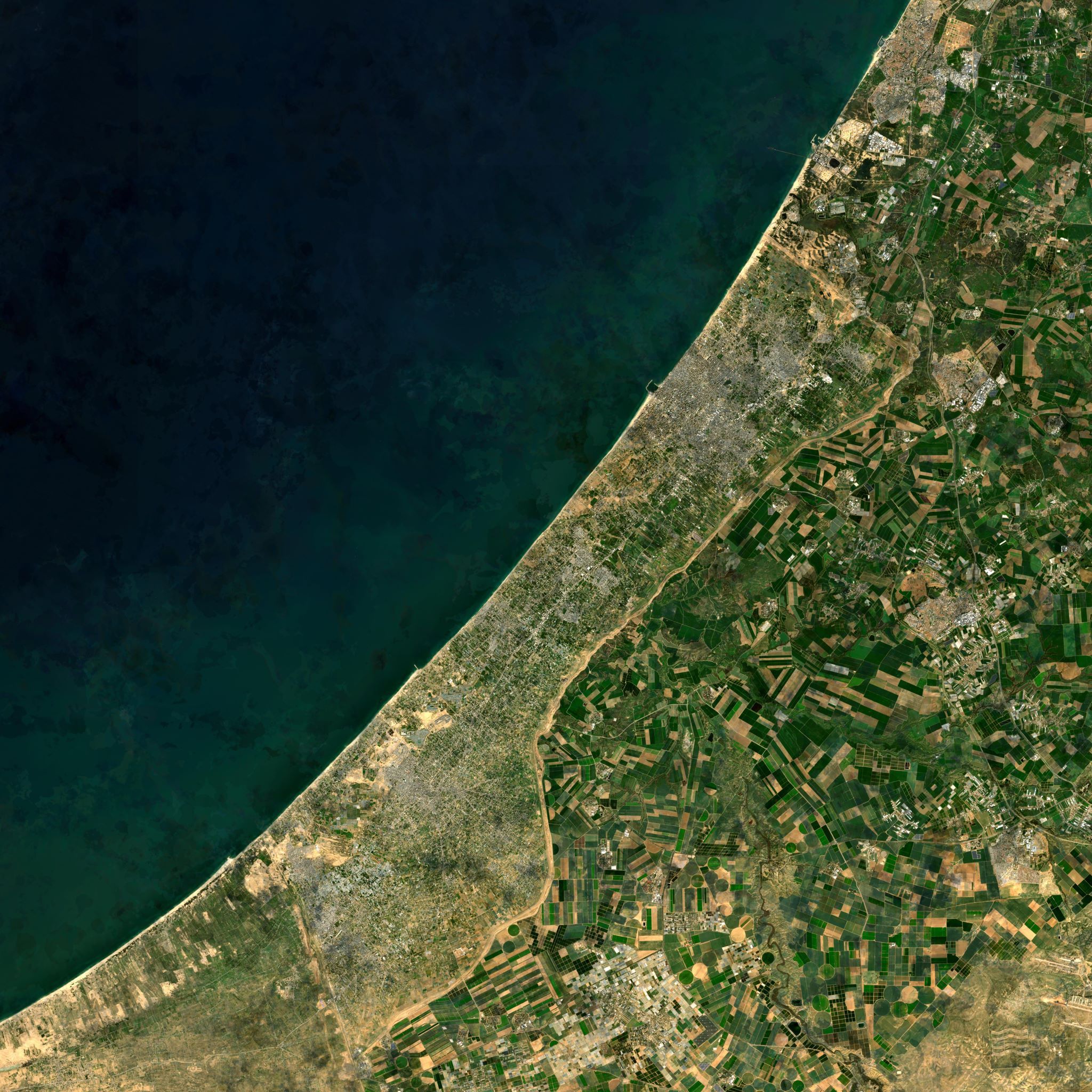 Gaza Strip