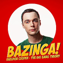 bazinga panels