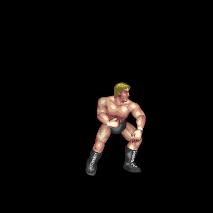 Fists Appeal(ナックルアピール)