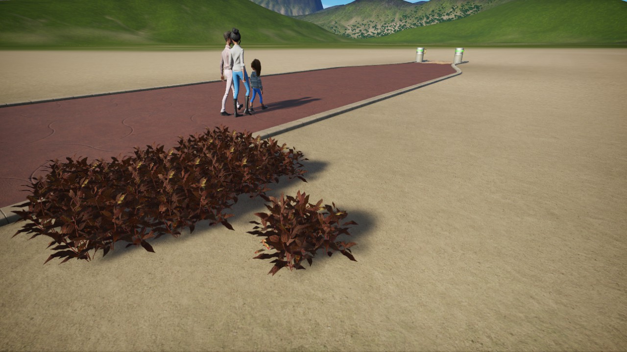 Alternanthera_reineckii-01