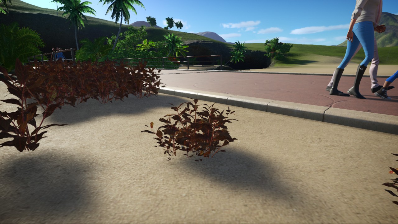 Alternanthera_reineckii-03