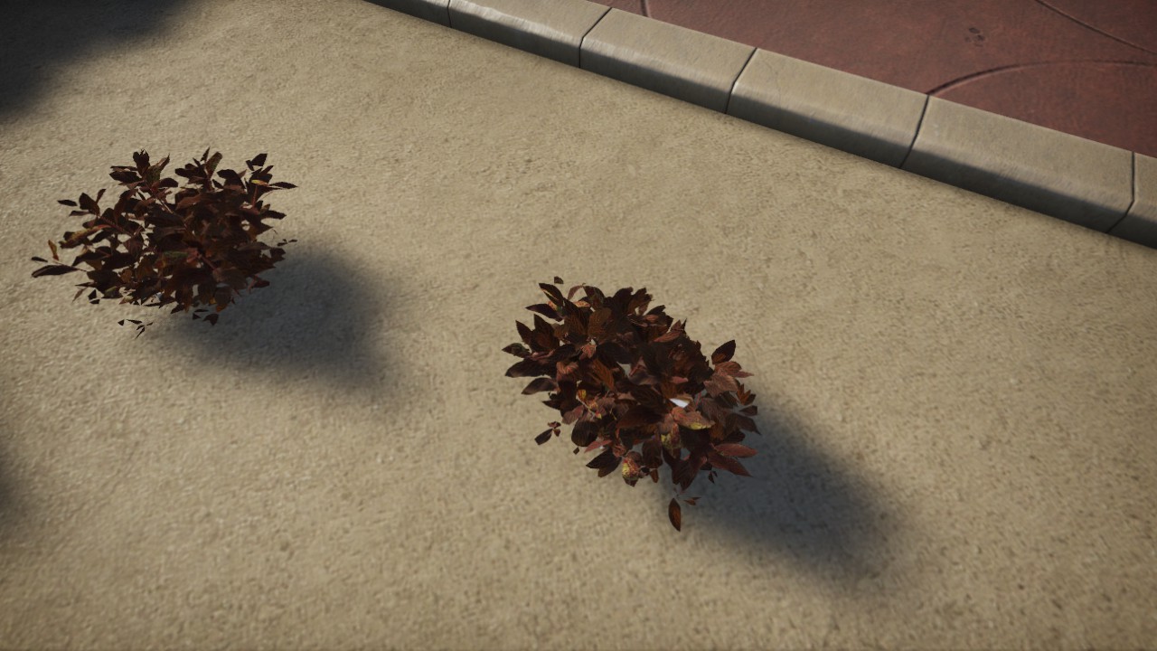 Alternanthera_reineckii-04