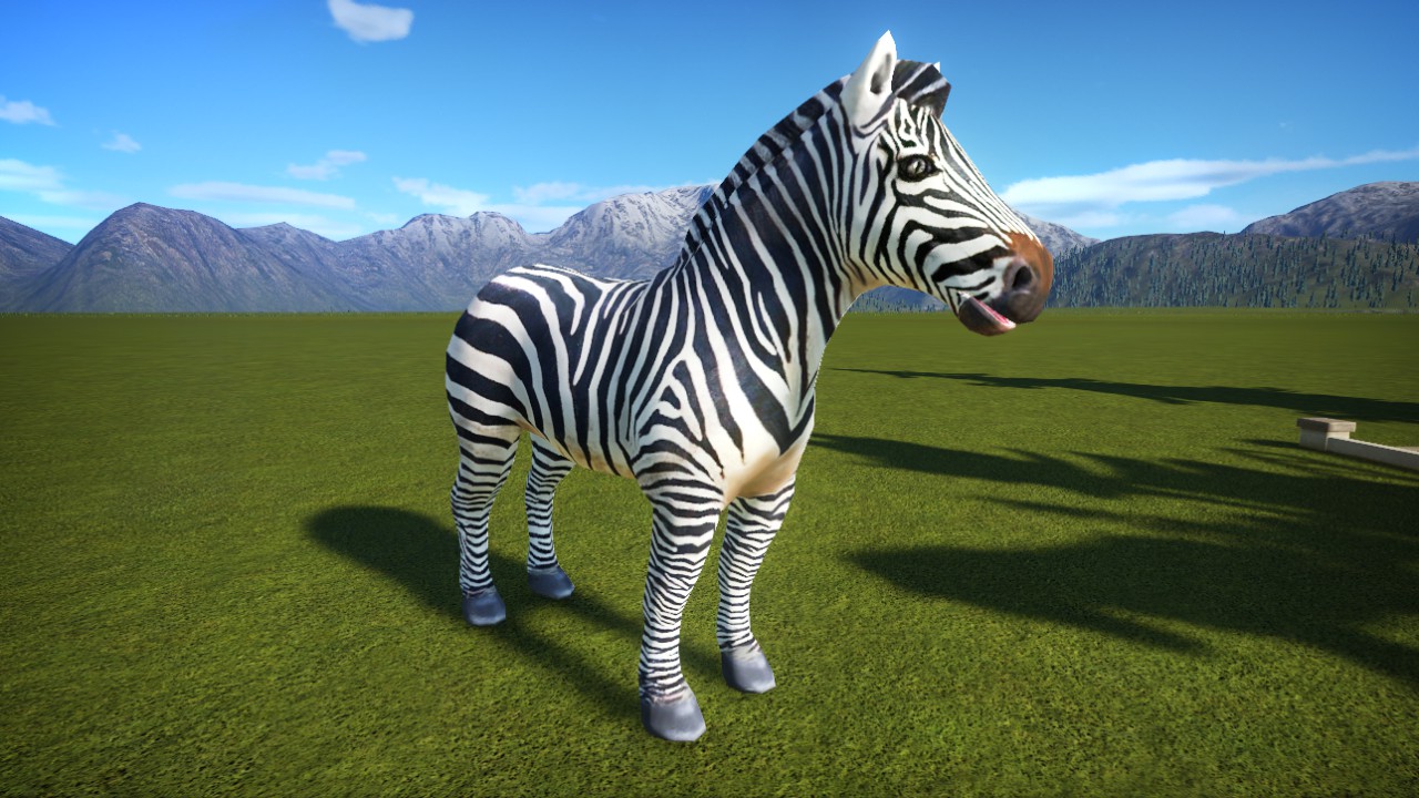 zebre 2