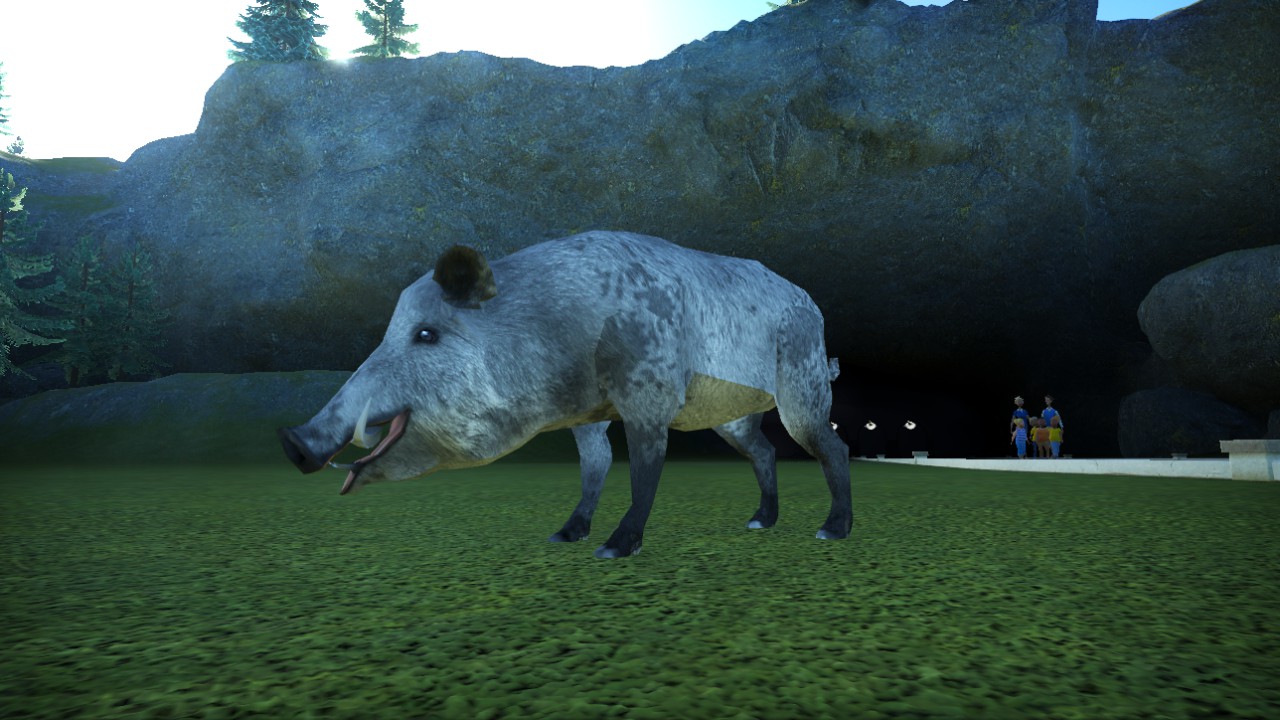 sanglier