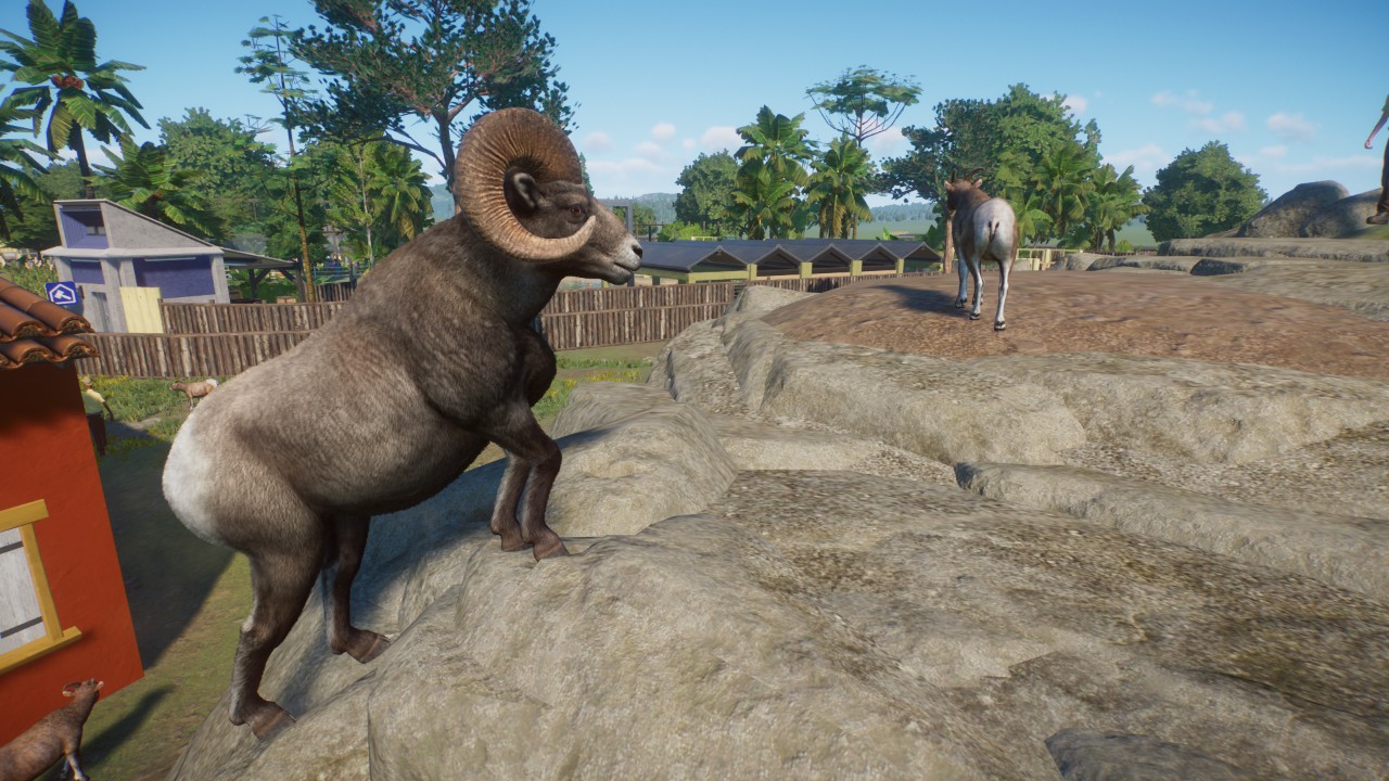 Enclos Parfaits Planet Zoo Americas Animal Pack