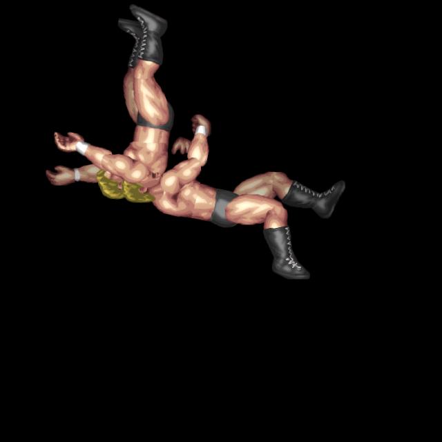 雪崩式ドラゴンスープレックス/Avalanche Dragon Suplex