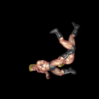 Swan Dive Swing Frankensteiner (to out)
