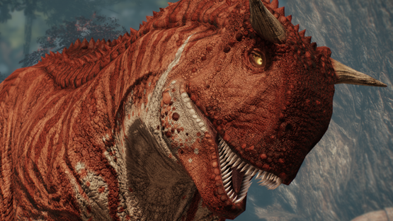 Maple Carno (Autumn 2021)