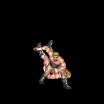 Fierce Lariat