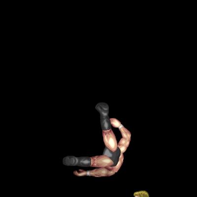 Swan Dive Wheel Kick