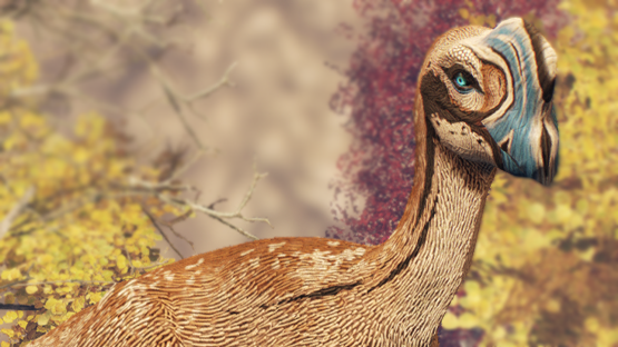 Garrulus Ovi (Autumn 2021)