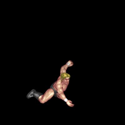 Swan Dive Lariat