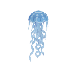 Jellyfish