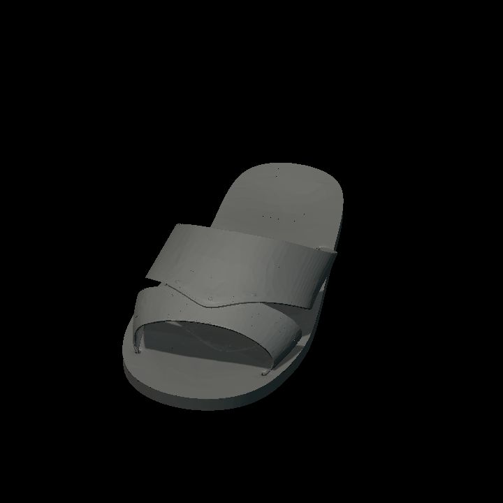 Slipper or sandal left colourable