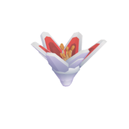 Lily