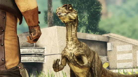 TAUNT - Raptor Fighting