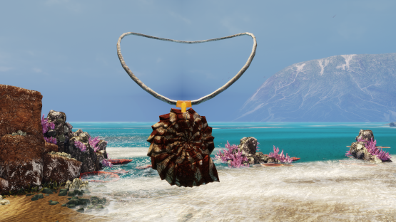 Ammonite necklace + Nautilus Pachy (Free drop)