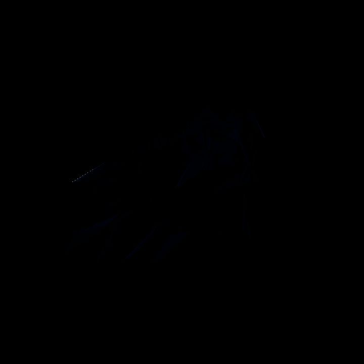 A glowing sigil - black raven