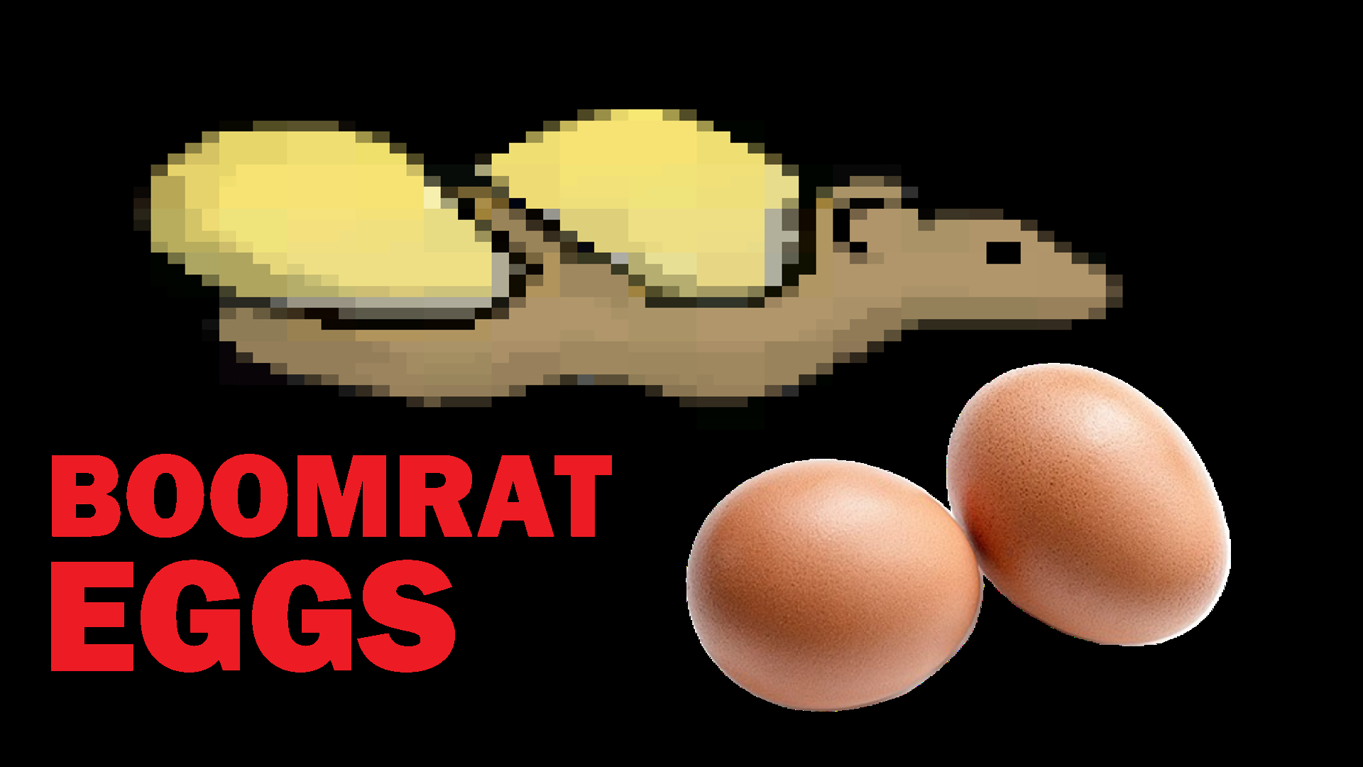 Boomrat Eggs