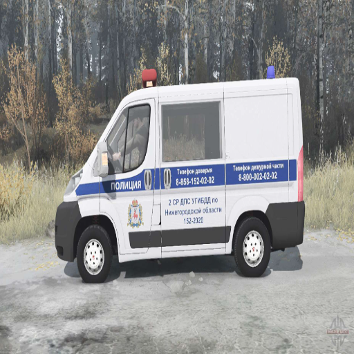 🚔 Fiat Ducato combi (250) 2006 ДПС 🚔