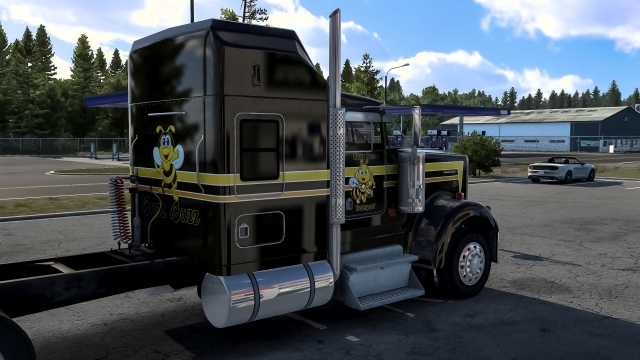 Busy Bee Transport Skin for Outlaw's W900 preview