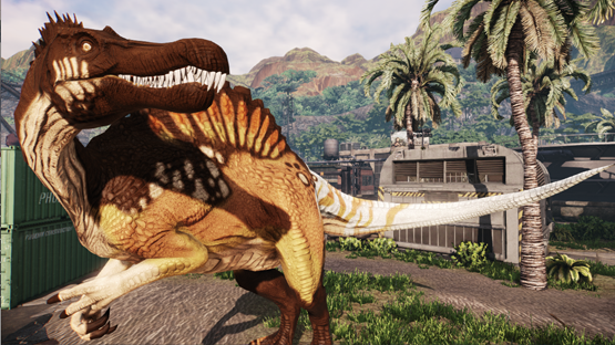 Ivory-Tailed Spino
