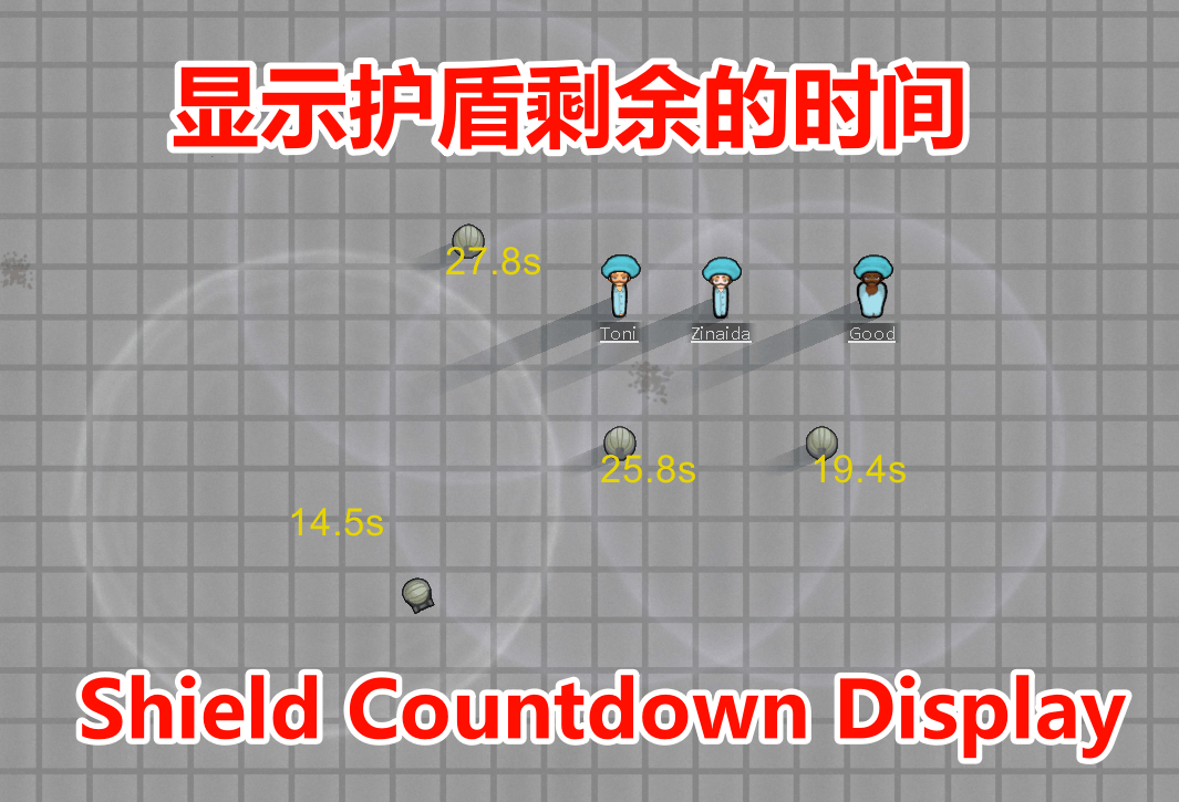 Shield Countdown Display(显示护盾倒计时)