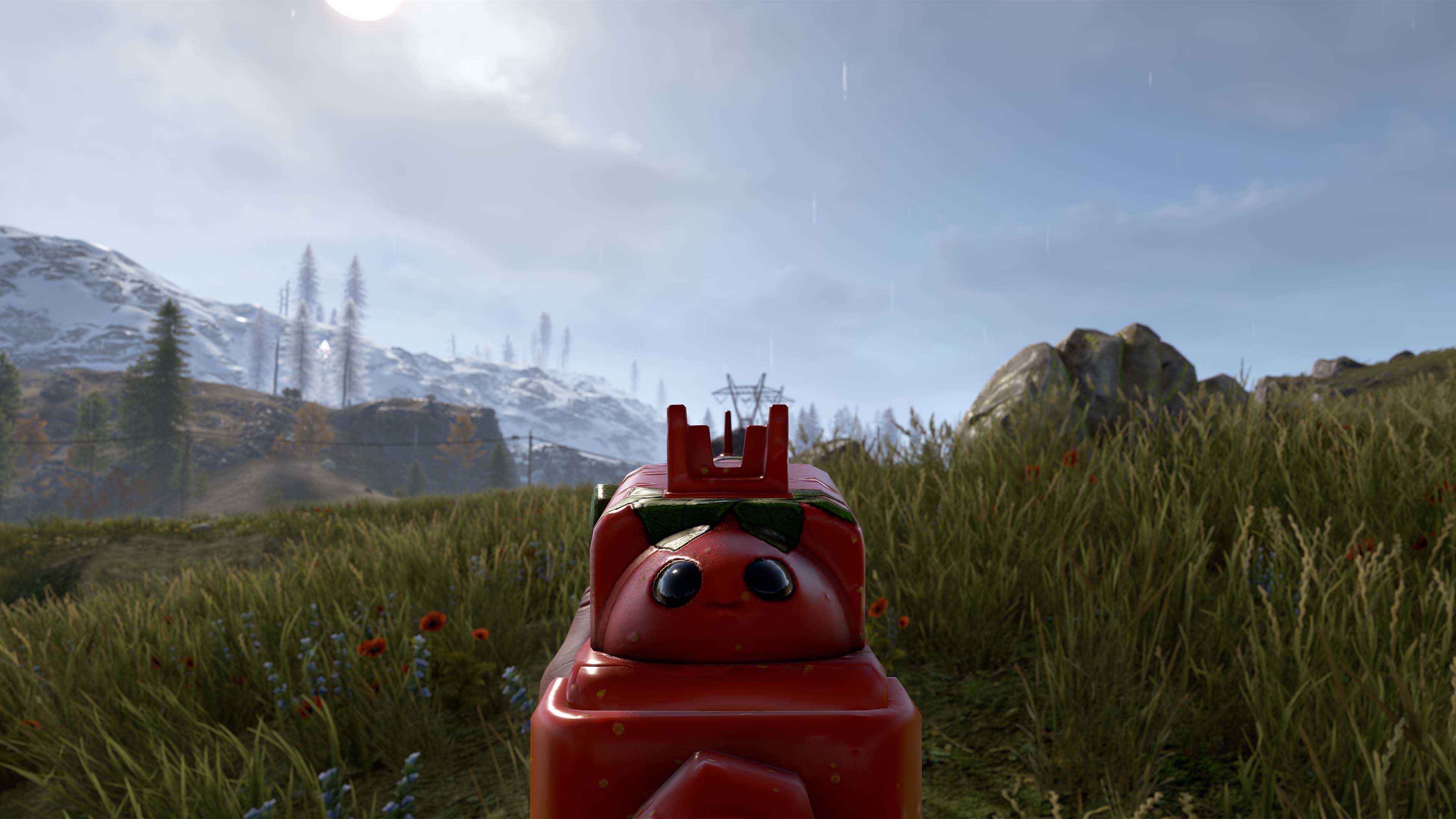 Señor Tomato SAR thumbnail 11