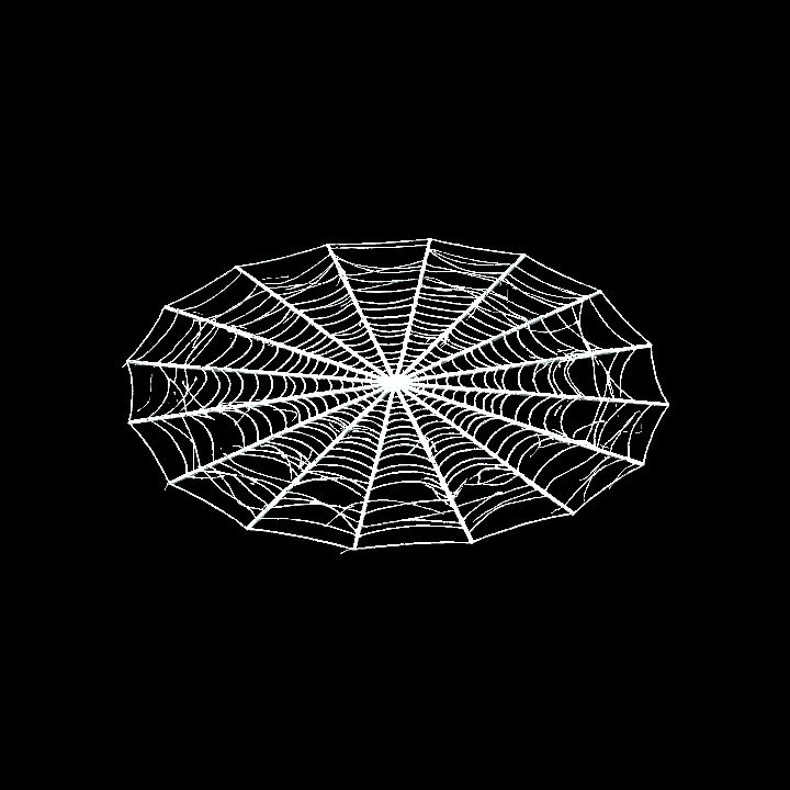 Floor web 1