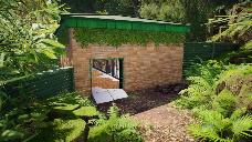 Oviraptor's shelter