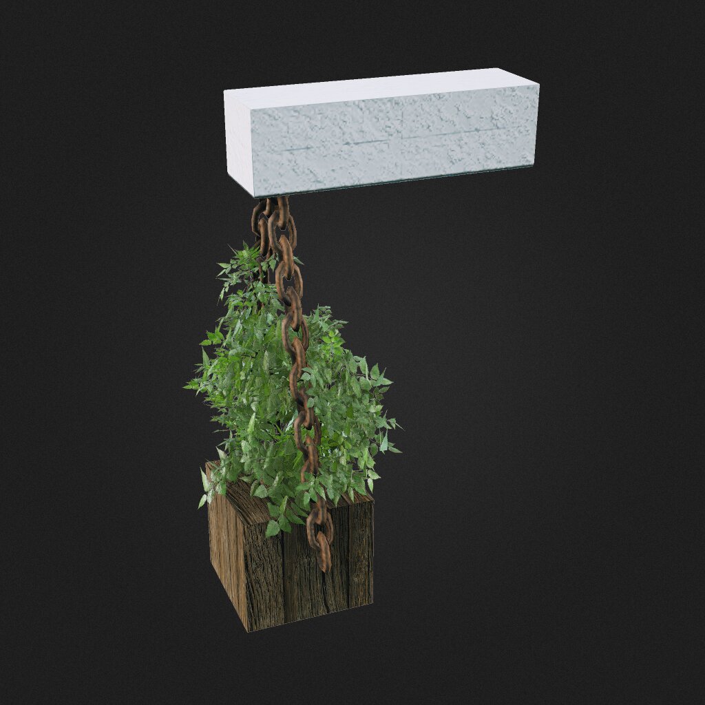 hanging plant