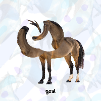 horse game+